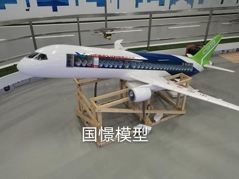 乐山飞机模型